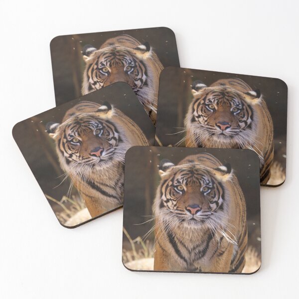 Item preview, Tiger designed and sold by MelKowasic.