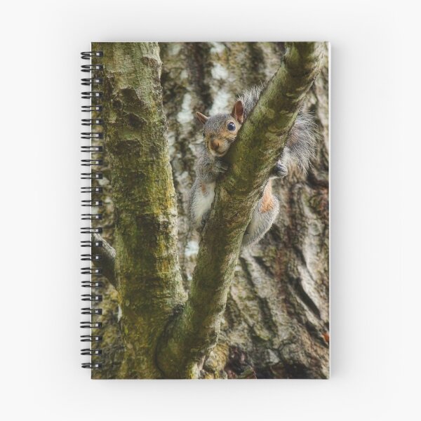 Item preview, Treetop View designed and sold by Karen Peron.