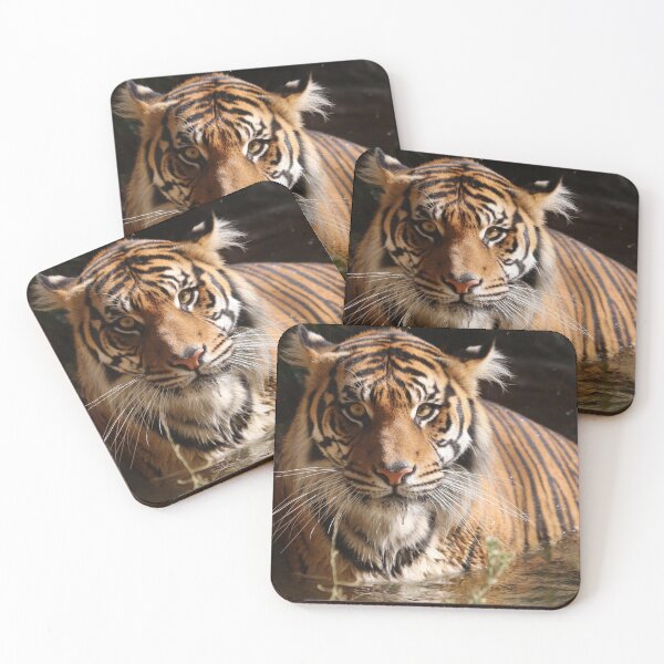 Item preview, Tiger designed and sold by MelKowasic.