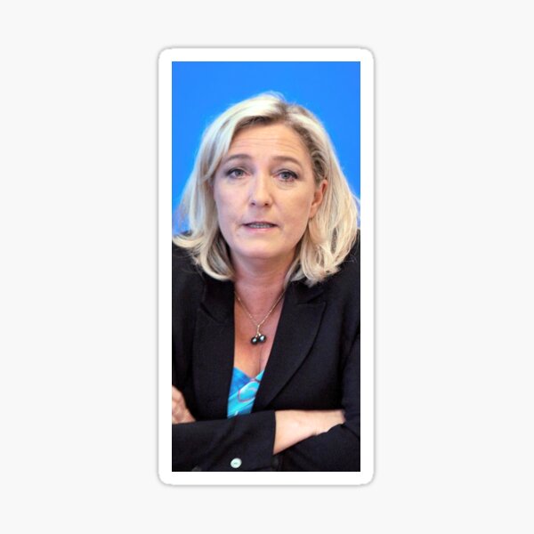 French Government Stickers Redbubble