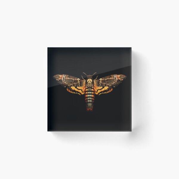 Aperçu de l'œuvre Papillon de tête de mort créée et vendue par wildtribe.