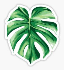 Monstera Sticker