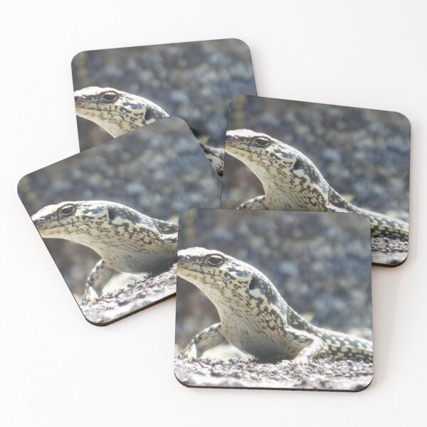 Item preview, Grand Skink designed and sold by Terra Dumont.