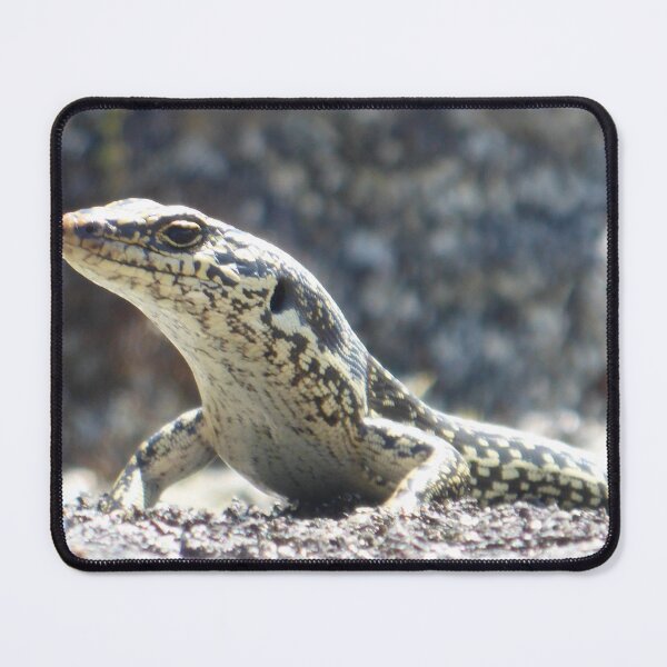 Item preview, Grand Skink designed and sold by Terra Dumont.
