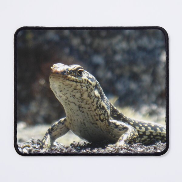 Item preview, Grand Skink designed and sold by Terra Dumont.