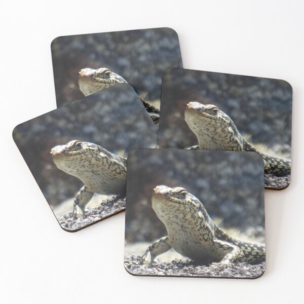 Item preview, Grand Skink designed and sold by Terra Dumont.