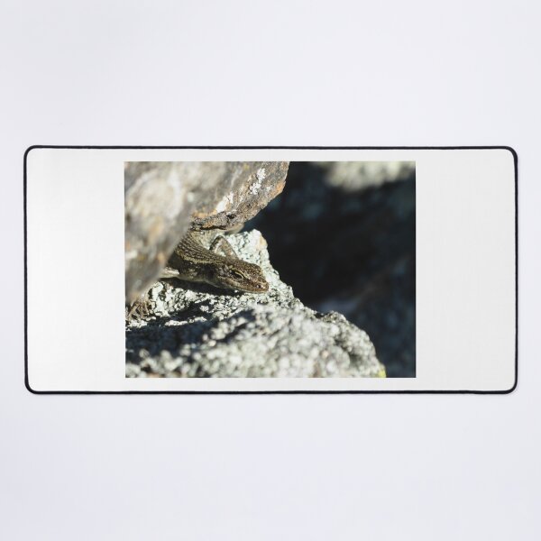 Item preview, Grand Skink peek-a-boo designed and sold by Terra Dumont.
