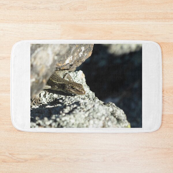 Item preview, Grand Skink peek-a-boo designed and sold by Terra Dumont.