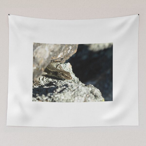 Item preview, Grand Skink peek-a-boo designed and sold by Terra Dumont.