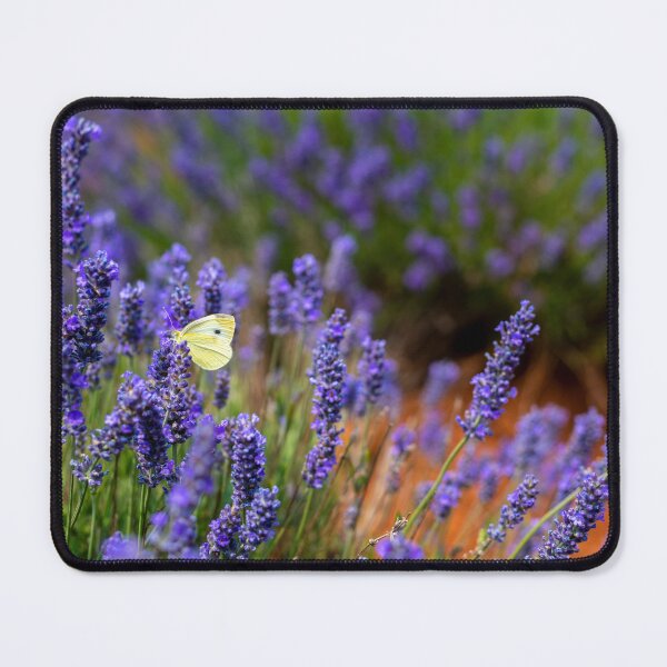 Item preview, Lavender Butterfly designed and sold by Adrian Alford Photography.