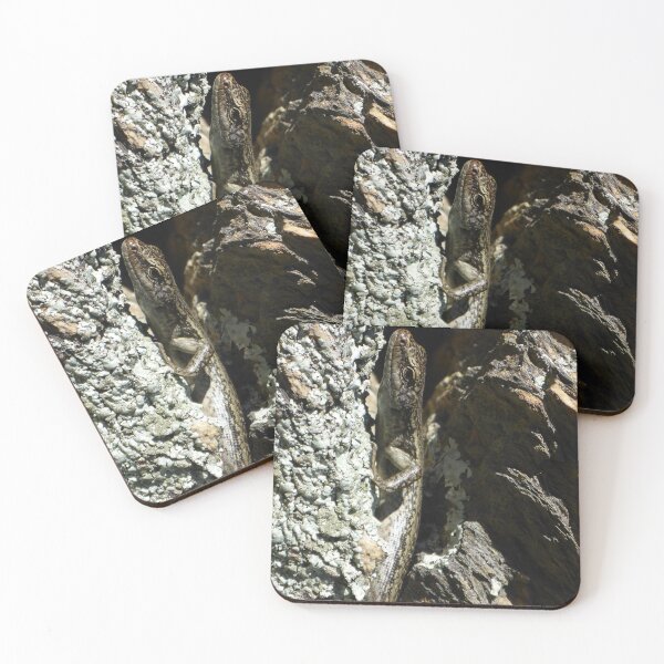 Item preview, Grand Skink designed and sold by Terra Dumont.