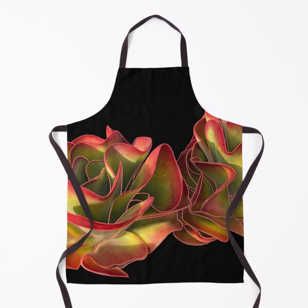 Item preview, Kalanchoe Flapjack Red Succulent Plant designed and sold by EschatonGarden.
