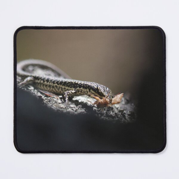 Item preview, Grand skink - snack time! designed and sold by Terra Dumont.