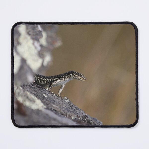 Item preview, Grand Skink - Sentinel designed and sold by Terra Dumont.