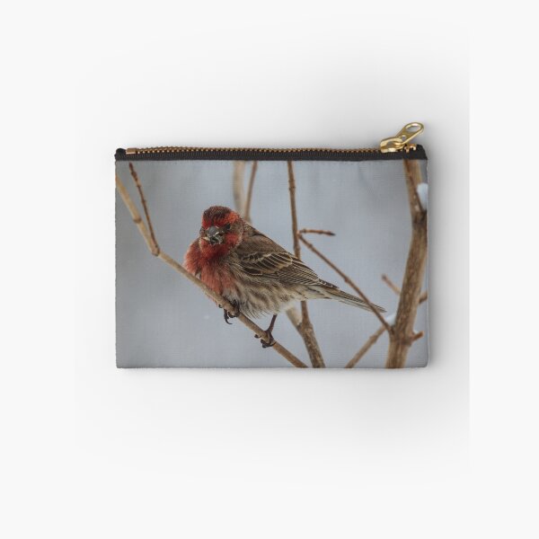Item preview, I love bird seed designed and sold by AgapeMn.