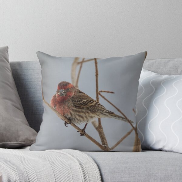 Item preview, I love bird seed designed and sold by AgapeMn.