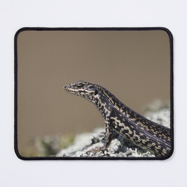 Item preview, Grand skink designed and sold by Terra Dumont.