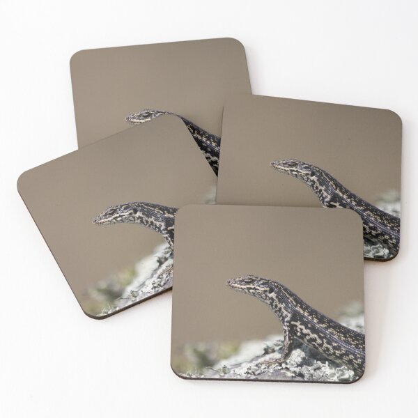 Item preview, Grand skink designed and sold by Terra Dumont.