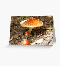 Mushroom Greeting Card