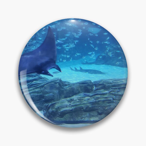 Item preview, The Mote Aquarium  designed and sold by desdemona47.