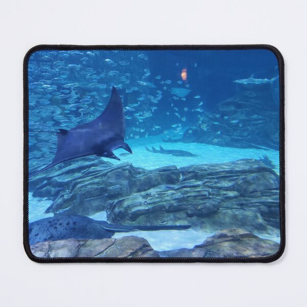 Item preview, The Mote Aquarium  designed and sold by desdemona47.