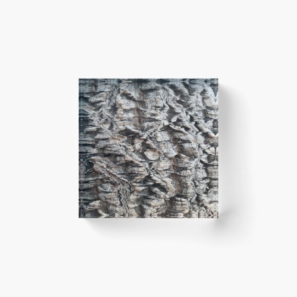 Item preview, bark of tree designed and sold by Aizhan896.
