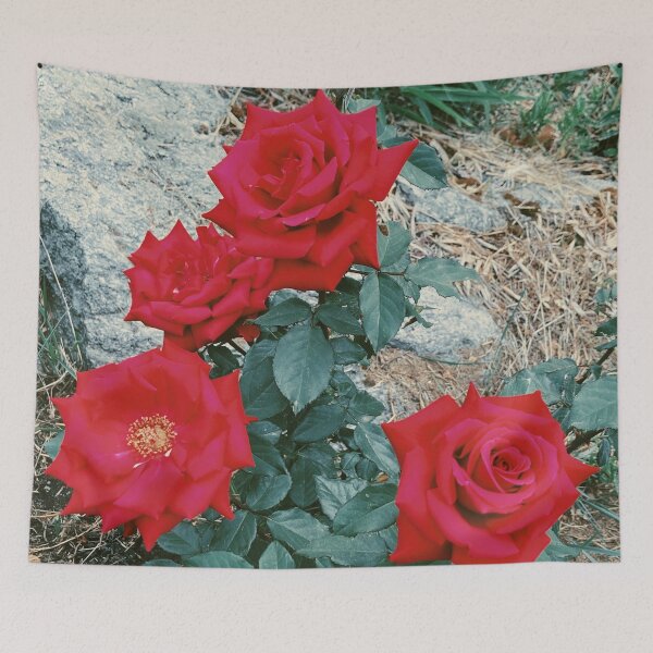 Item preview, Vintage Red Roses designed and sold by Katy Scholten.