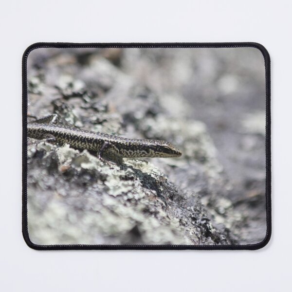 Item preview, Grand skink designed and sold by Terra Dumont.