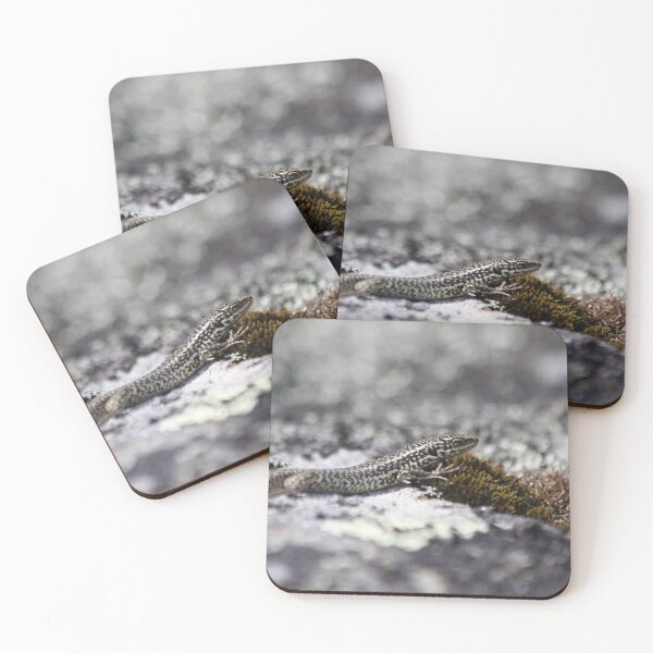 Item preview, Grand skink with moss designed and sold by Terra Dumont.