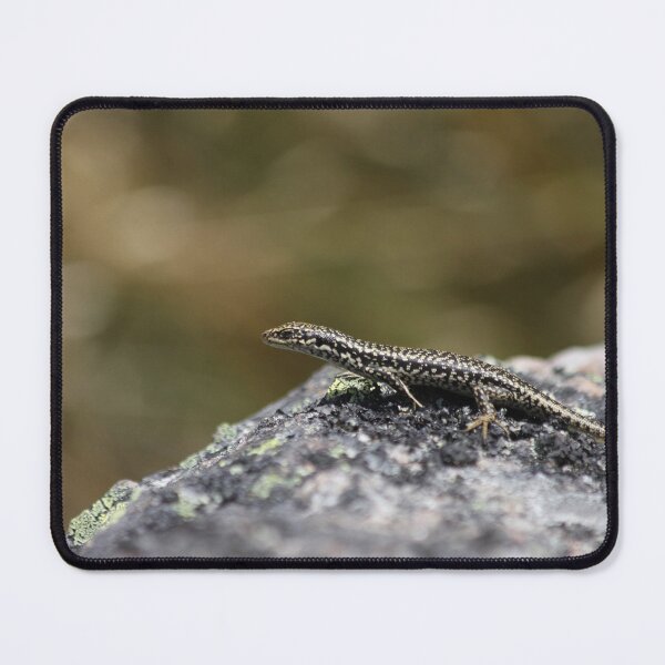 Item preview, Baby Grand Skink designed and sold by Terra Dumont.