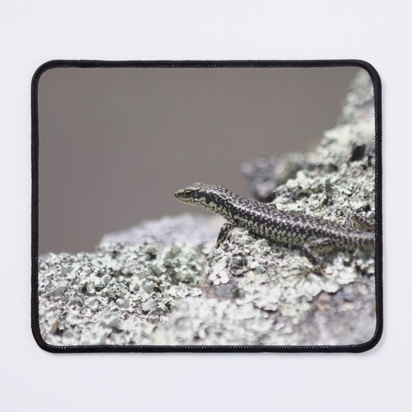 Item preview, Grand Skink designed and sold by Terra Dumont.