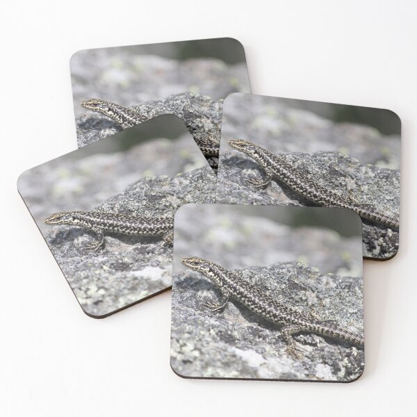 Item preview, Grand Skink designed and sold by Terra Dumont.