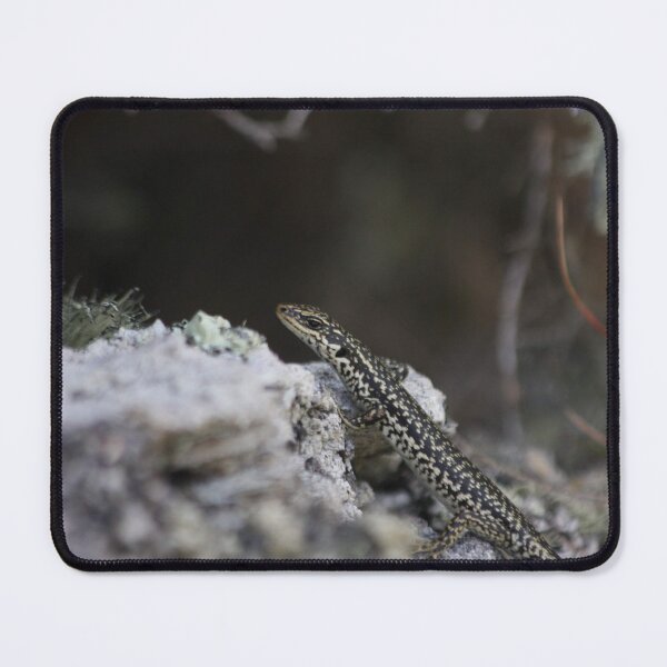Item preview, Grand Skink designed and sold by Terra Dumont.