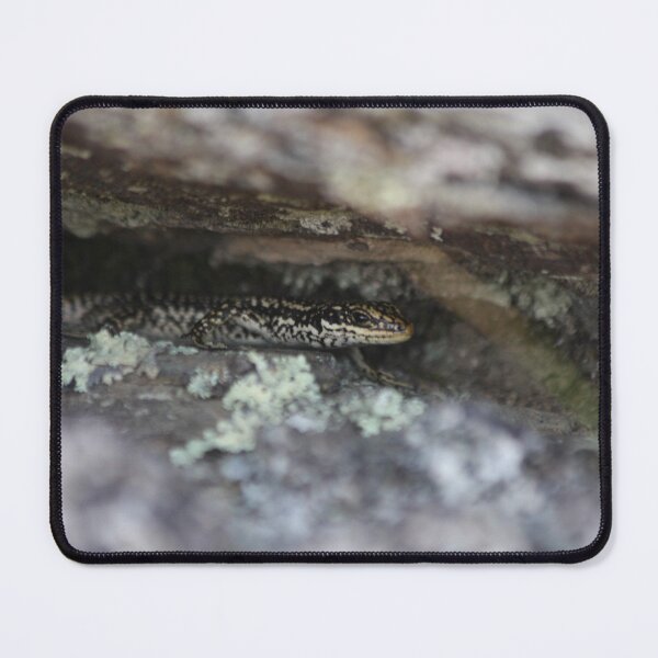Item preview, Grand Skink - hiding designed and sold by Terra Dumont.