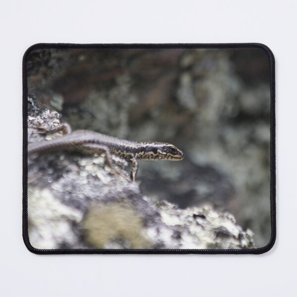 Item preview, Grand Skink designed and sold by Terra Dumont.