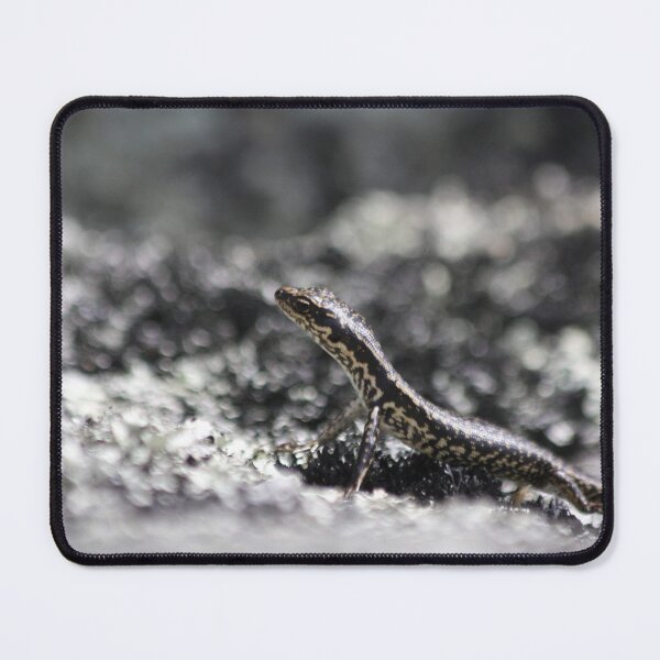 Item preview, Baby Grand Skink designed and sold by Terra Dumont.