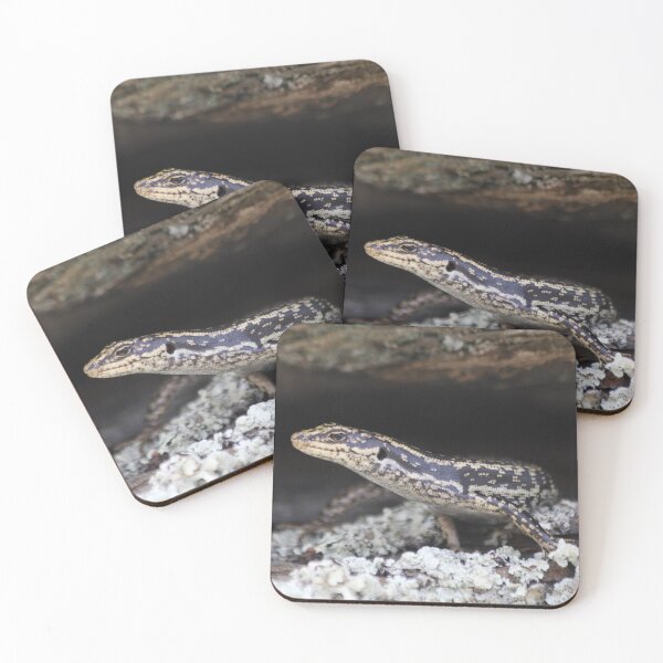 Item preview, Grand Skink designed and sold by Terra Dumont.