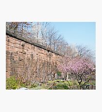 Harsimus Branch Embankment, Former Pennsylvania Railroad Embankment , Jersey City, New Jersey Photographic Print