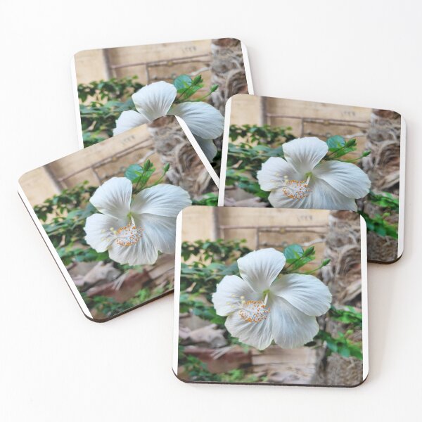 Item preview, Lovely white hibiscus flower Photo specially made for you designed and sold by Ismail Rizk.