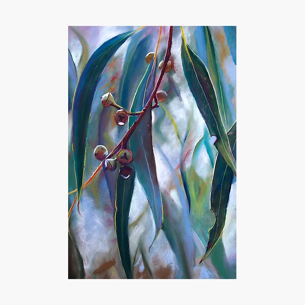 'Regeneration 1' Photographic Print