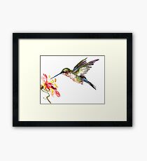 Flying Hummingbird and Flower Framed Print
