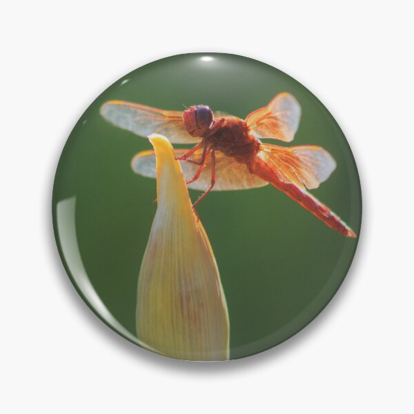 Item preview, Red Dragonfly designed and sold by cheese6623.