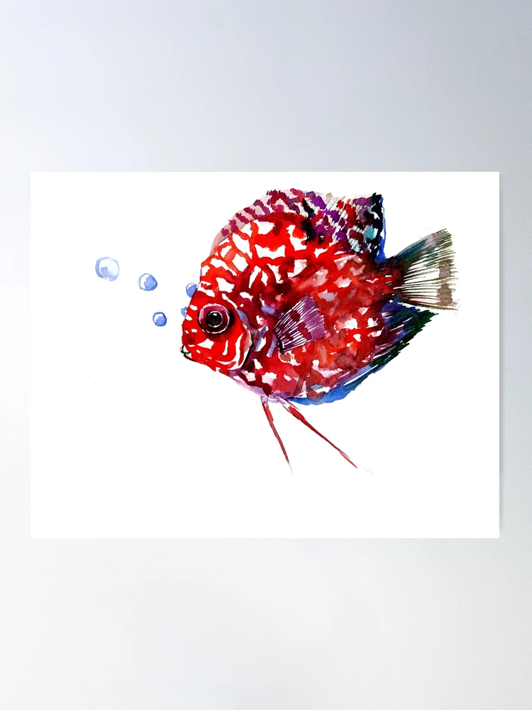 Discus Coral Red Aquarium Fish Poster for Sale by surenart