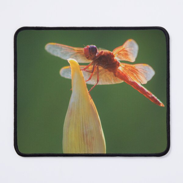 Item preview, Red Dragonfly designed and sold by cheese6623.