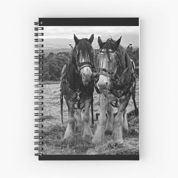 Item preview, Bloodline Brothers designed and sold by Karen Tregoning.