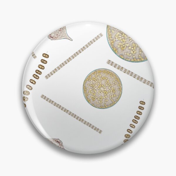 Item preview, Into the Plankton designed and sold by emarinelife.