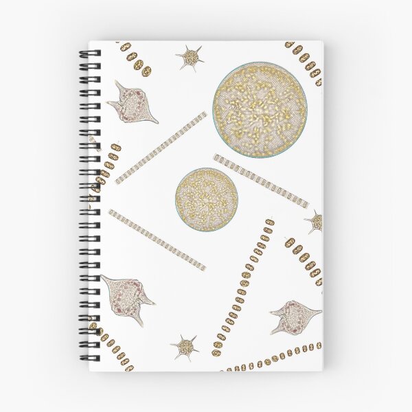 Item preview, Into the Plankton designed and sold by emarinelife.