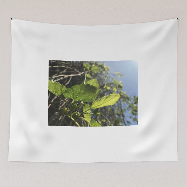 Item preview, Boysenberry Tree designed and sold by chrismelinafrnk.