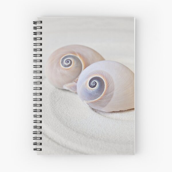 Item preview, Shark's eye Shell Zen Still Life designed and sold by artsandsoul.
