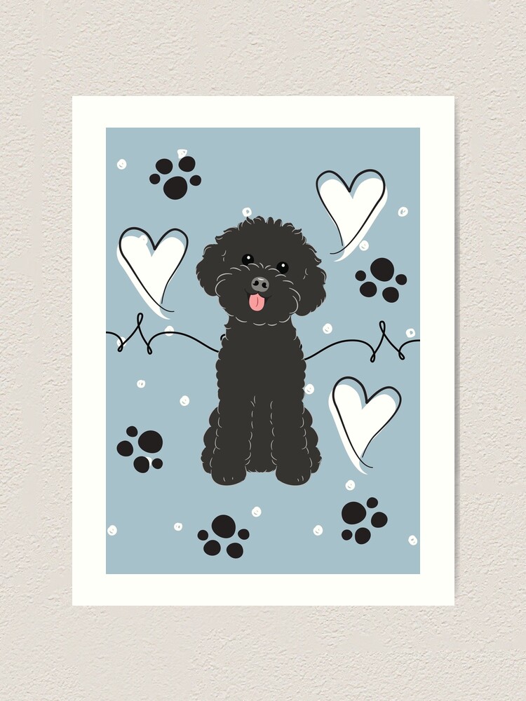 black toy poodle